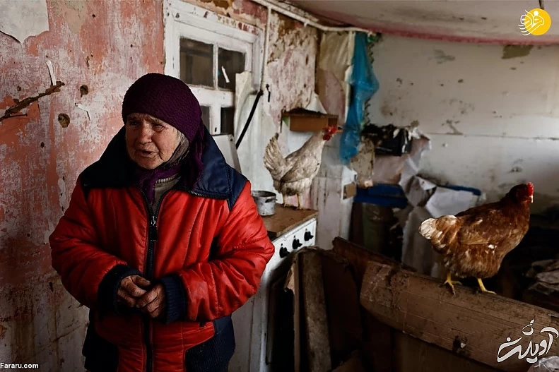 (تصاویر) داستان پیرزن اوکراینی و مرغهایش